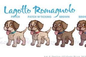 Graphic Lagotto Romagnolo Dog Art